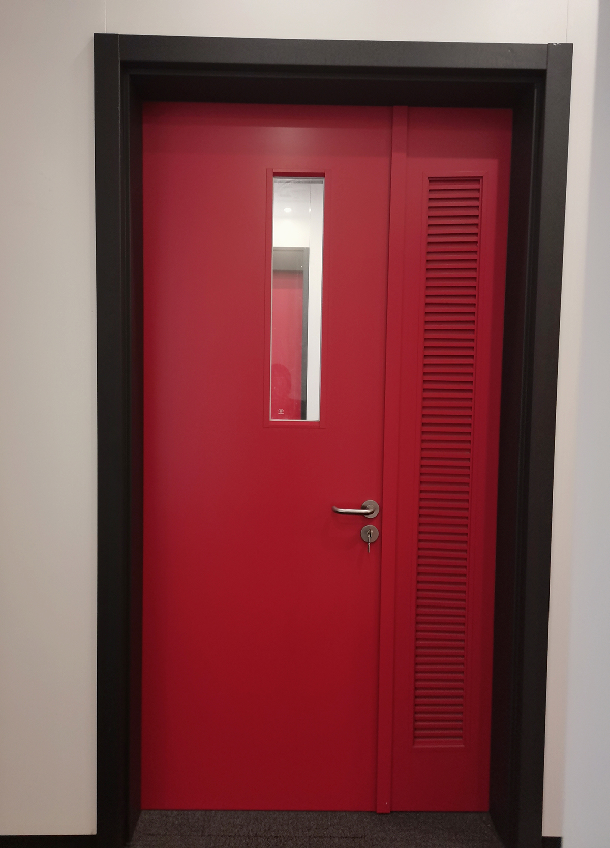 鋼質(zhì)單開子母門